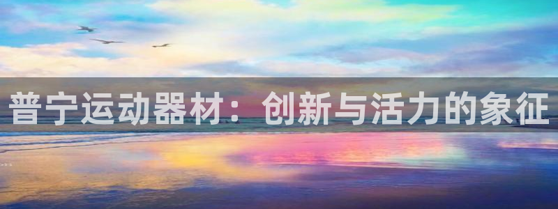 凯捷体育平台注册流程图:普宁运动器材:创新与活力的象征