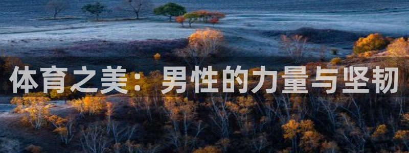 凯捷体育平台注册流程视频:体育之美:男性的力量与坚韧