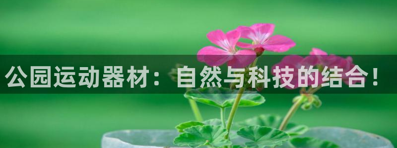 凯捷体育开户:公园运动器材:自然与科技的结合!