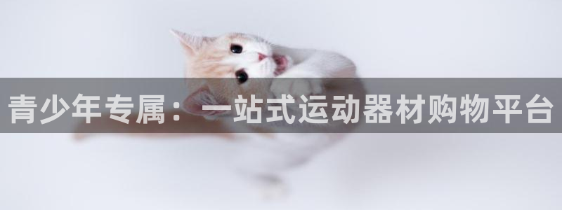 凯捷体育娱乐40996:青少年专属:一站式运动器材购物平台